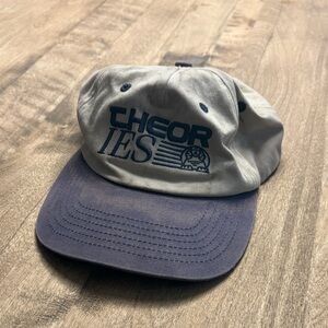 Gray and blue Theories cap